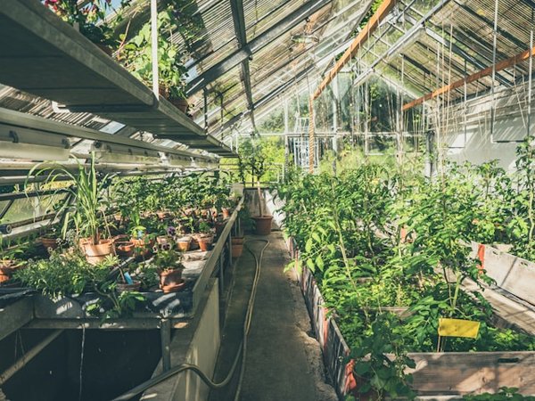 Comment organiser un séjour dans une ferme biologique en Italie avec des ateliers de jardinage et des dégustations de produits locaux?